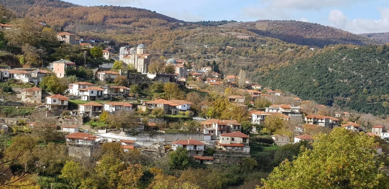 Parnon Hotel Agios Petros  外观 照片